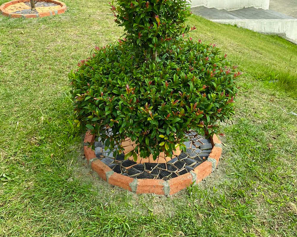 Arcilla tamboreada 04